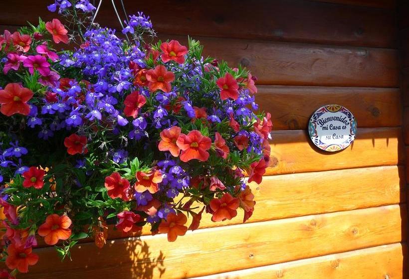 Bed and Breakfast 803 Patricia Street Accommodation | Jasper | Alberta | Canada 7