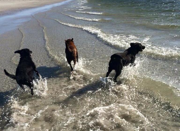 Agnes Cottage Bed & Breakfast | Kingston | South Australia | Australia 13