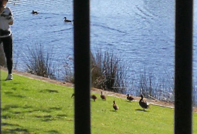 Bed and Breakfast House | Perth | Western Australia | Australia 13