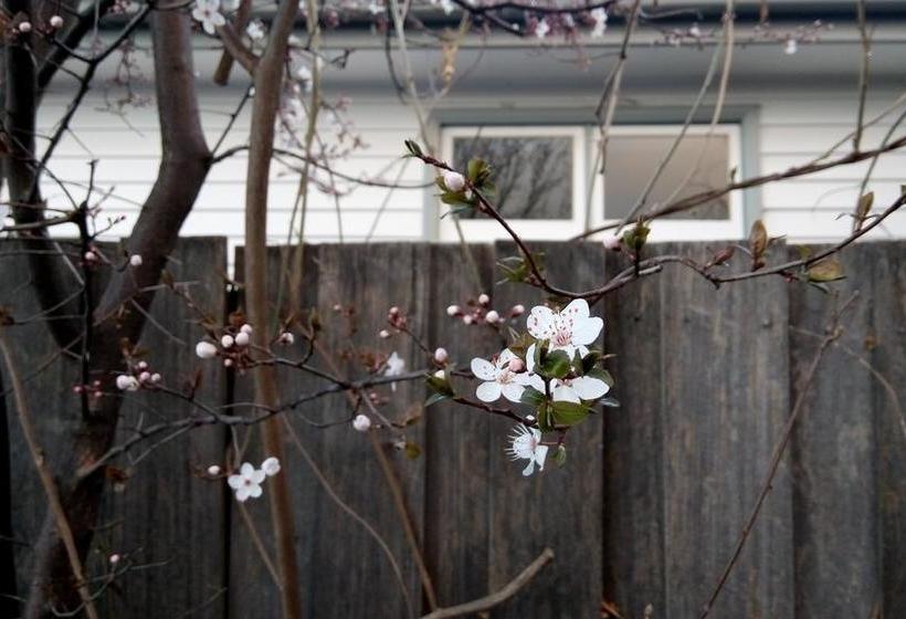 Bed and Breakfast Natone | Hobart | Tasmania | Australia 10