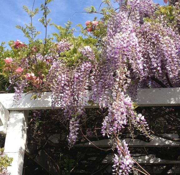 Bed and Breakfast Natone | Hobart | Tasmania | Australia 11