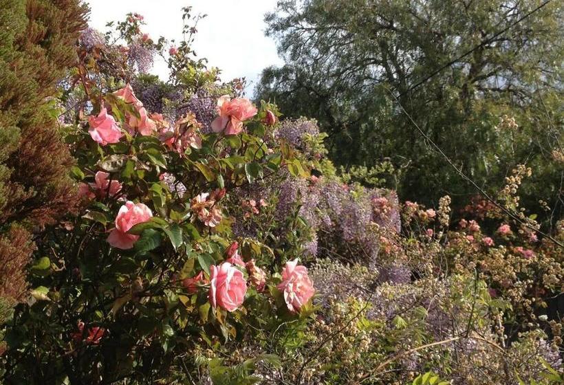 Bed and Breakfast Natone | Hobart | Tasmania | Australia 9