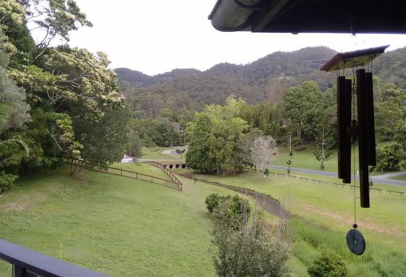 Bed and Breakfast Ecofriendly Luxury King Suite | Tallebudgera | Queensland | Australia 15