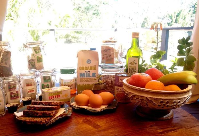 Bed and Breakfast Ecofriendly Luxury King Suite | Tallebudgera | Queensland | Australia 3