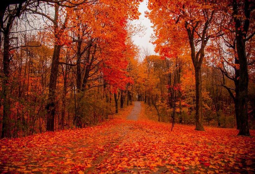 Bed and Breakfast Albasha | Montreal | Quebec | Canada 6