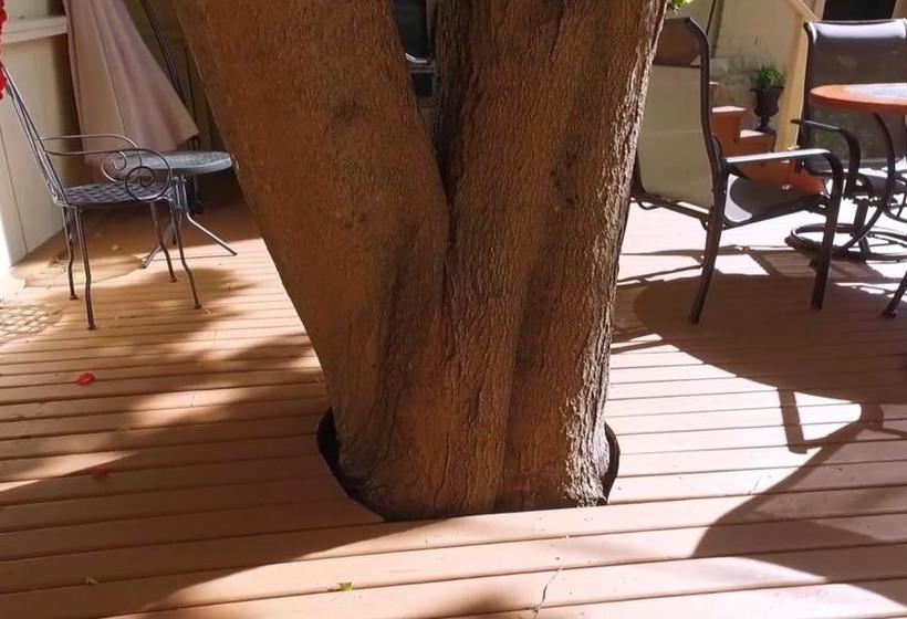 Bed and Breakfast Keirstead Manor | Saint John | New Brunswick | Canada 13