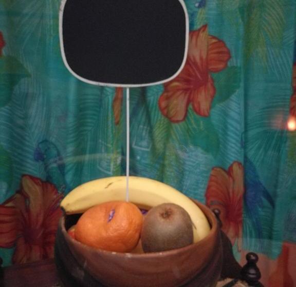 The Golden Tusk B&b | Kalgoorlie | Western Australia | Australia 14