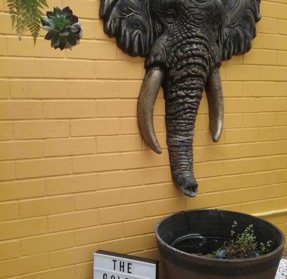 The Golden Tusk B&b | Kalgoorlie | Western Australia | Australia 5