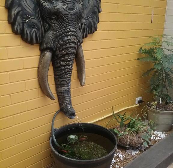 The Golden Tusk B&b | Kalgoorlie | Western Australia | Australia 7