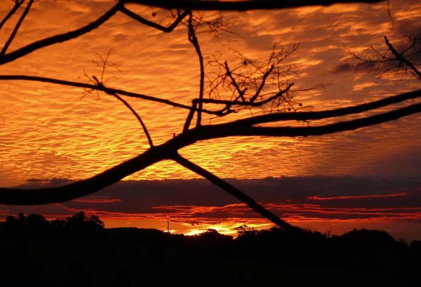 Cedarview Bed & Breakfast | Beechmont | Queensland | Australia 4