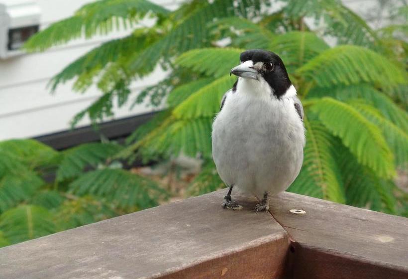 Bed and Breakfast Eumundi Cottages  Cottage 2 | Eumundi | Queensland | Australia 10