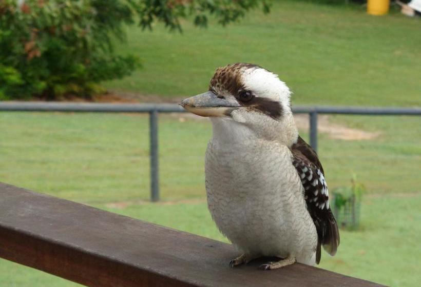 Bed and Breakfast Eumundi Cottages  Cottage 2 | Eumundi | Queensland | Australia 5