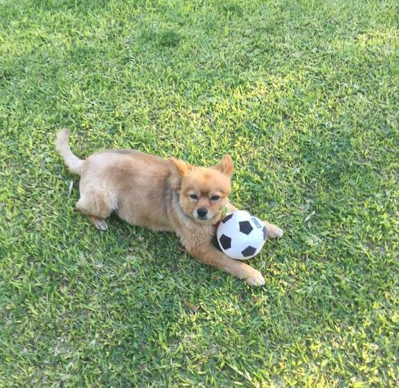 Bed and Breakfast Kalgaritch B n B | Busselton | Western Australia | Australia 19