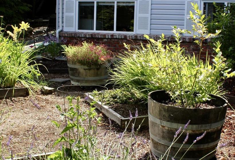 Bed and Breakfast A Boutique Artful Suite | Nanaimo | British Columbia | Canada 14