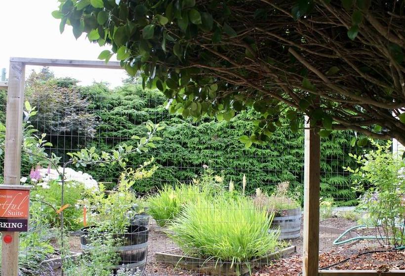 Bed and Breakfast A Boutique Artful Suite | Nanaimo | British Columbia | Canada 15