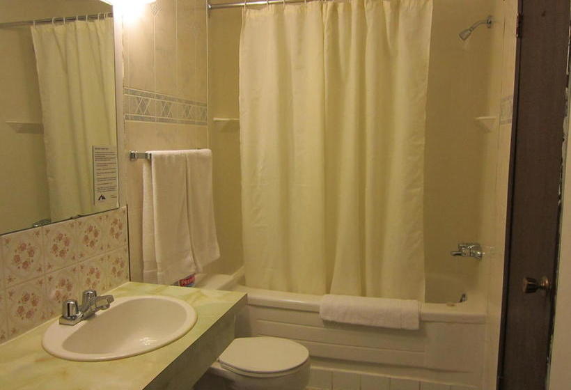 Viking Lamplighter Motel | Viking | Alberta | Canada 2