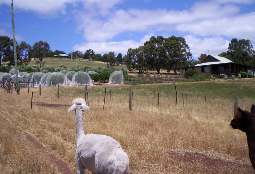 Bed and Breakfast Forestview Farmstay | Bridgetown | Western Australia | Australia 3