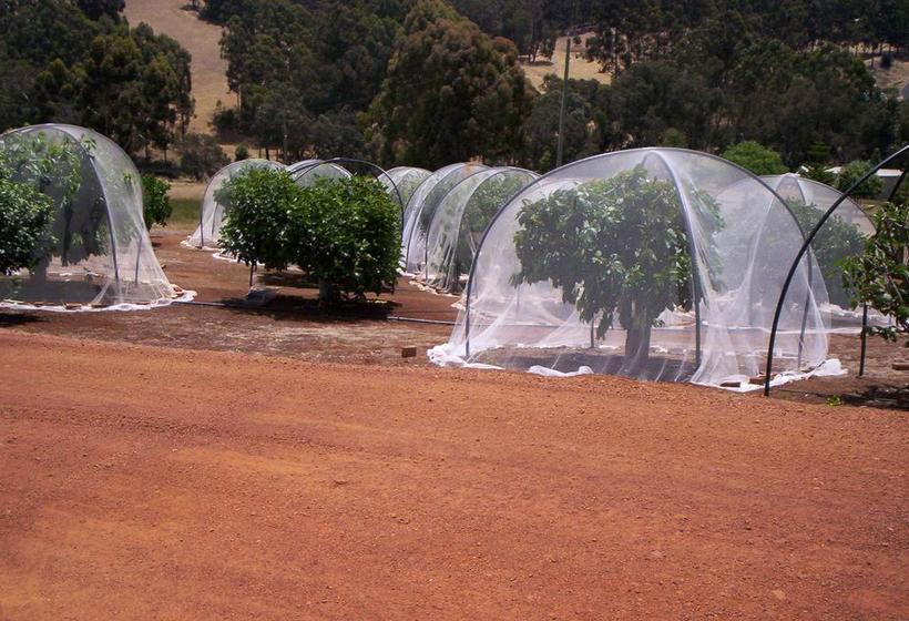 Bed and Breakfast Forestview Farmstay | Bridgetown | Western Australia | Australia 5