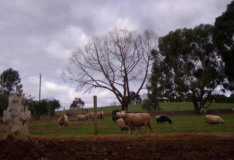 Bed and Breakfast Forestview Farmstay | Bridgetown | Western Australia | Australia 6