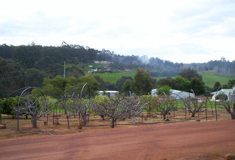 Bed and Breakfast Forestview Farmstay | Bridgetown | Western Australia | Australia 7