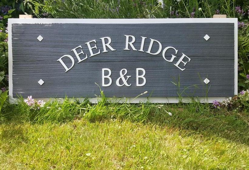 Deer Ridge B&b | Golden | British Columbia | Canada 17