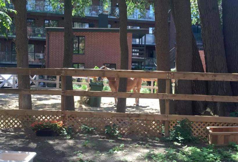 Bed and Breakfast L Hotel Particulier Griffintown | Montreal | Quebec | Canada 12