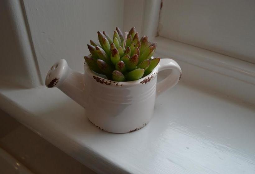 Two Cow Cottage Bed & Breakfast | Keith | South Australia | Australia 11