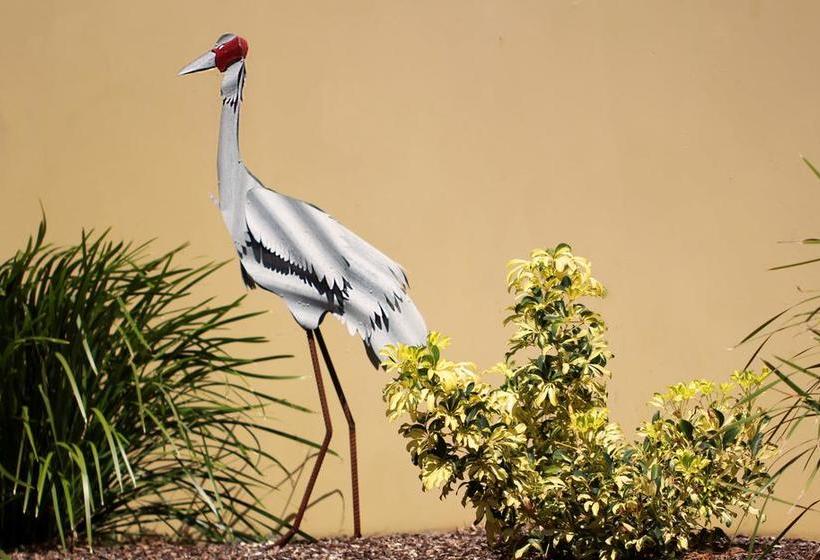 Motel In Nambour | Nambour | Queensland | Australia 2