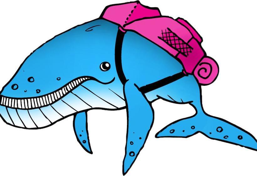 Hostel Hump Backpackers | Sydney | New South Wales | Australia 7