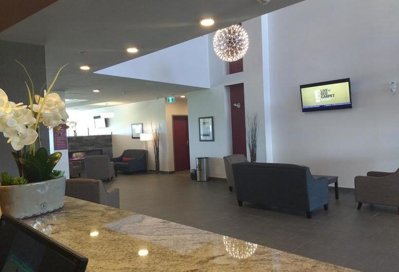 Hotel Paradise Inn And Suites Signature | Leduc | Alberta | Canada 10