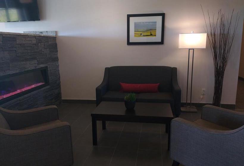 Hotel Paradise Inn And Suites Signature | Leduc | Alberta | Canada 12