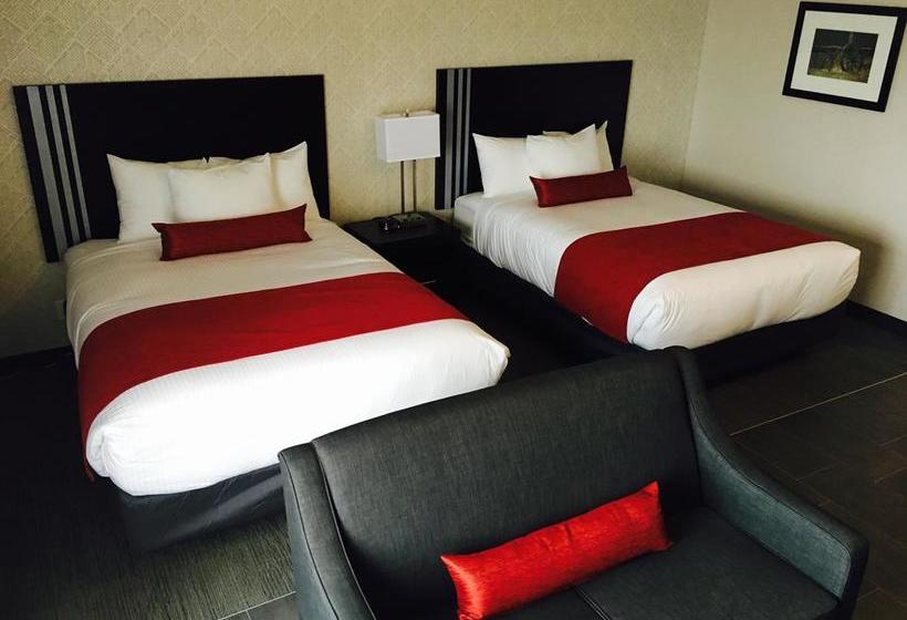 Hotel Paradise Inn And Suites Signature | Leduc | Alberta | Canada 13