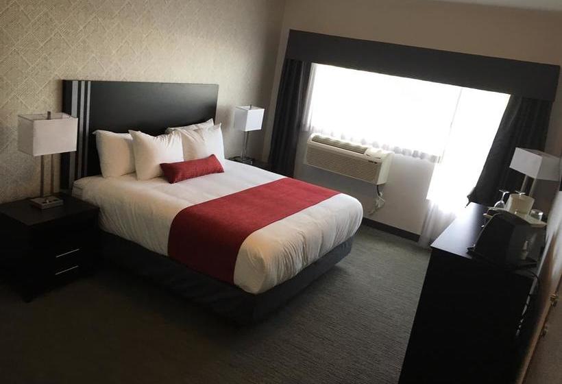 Hotel Paradise Inn And Suites Signature | Leduc | Alberta | Canada 16