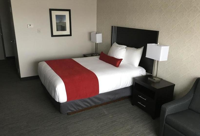 Hotel Paradise Inn And Suites Signature | Leduc | Alberta | Canada 17