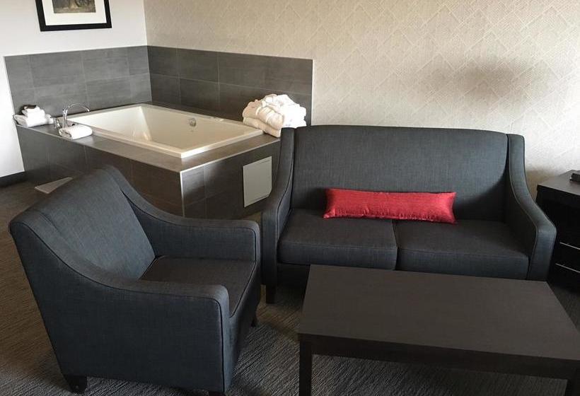 Hotel Paradise Inn And Suites Signature | Leduc | Alberta | Canada 18