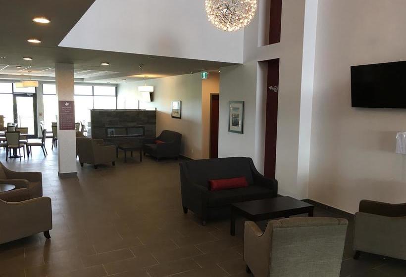 Hotel Paradise Inn And Suites Signature | Leduc | Alberta | Canada 19