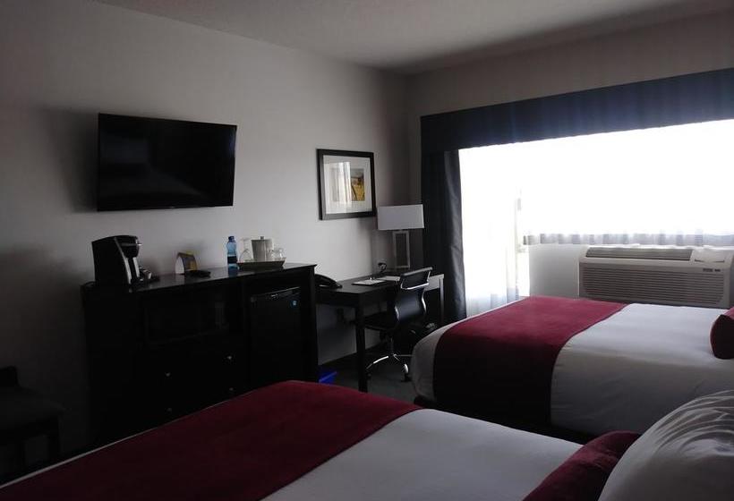 Hotel Paradise Inn And Suites Signature | Leduc | Alberta | Canada 2