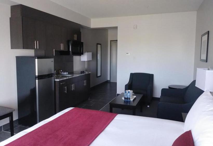 Hotel Paradise Inn And Suites Signature | Leduc | Alberta | Canada 4