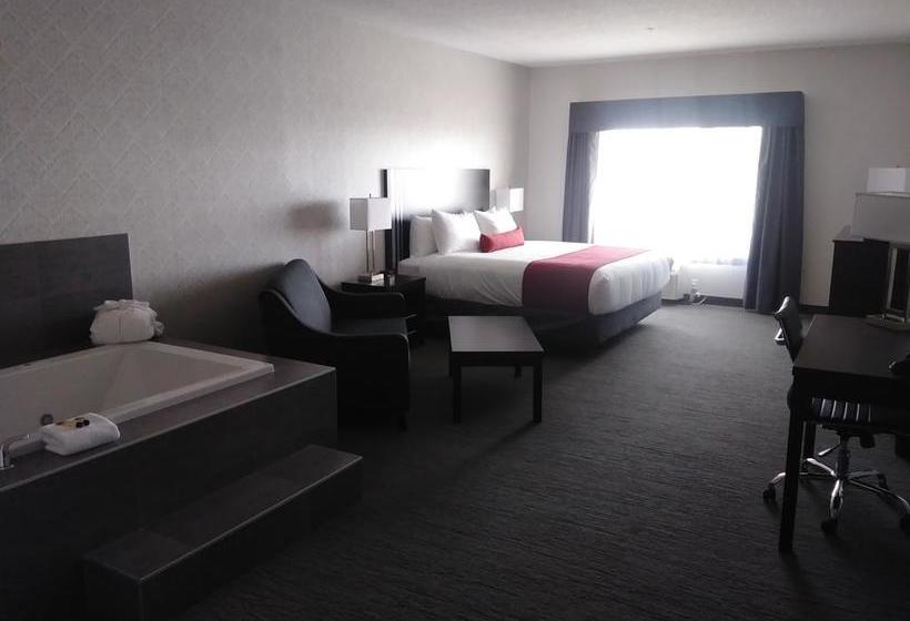 Hotel Paradise Inn And Suites Signature | Leduc | Alberta | Canada 6