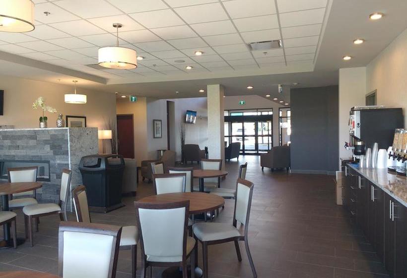 Hotel Paradise Inn And Suites Signature | Leduc | Alberta | Canada 9