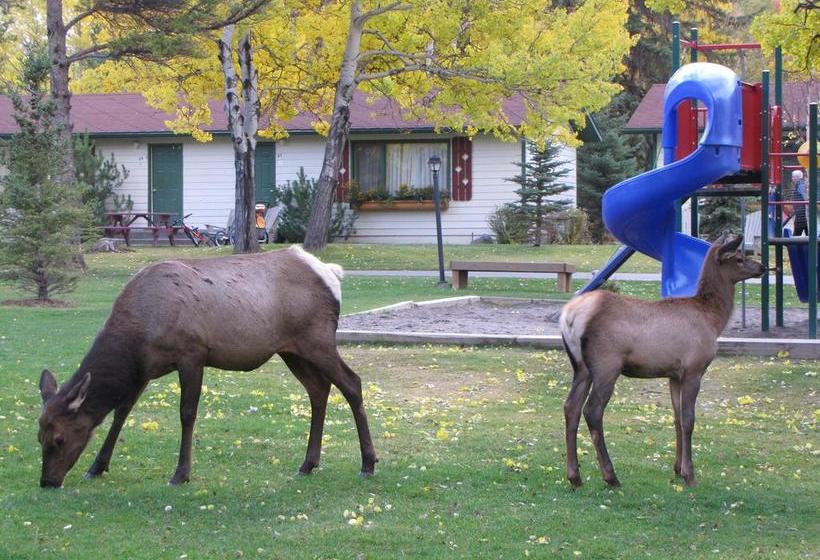 Resort Patricia Lake Bungalows | Jasper | Alberta | Canada 12