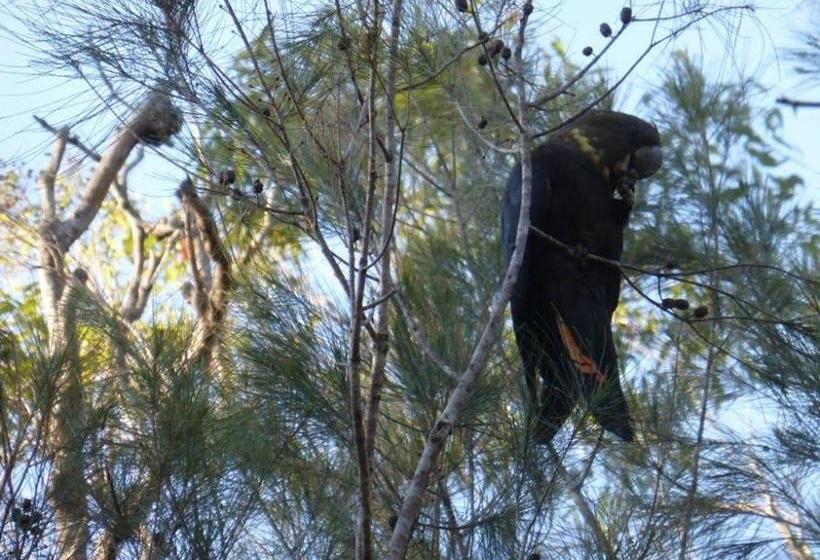 Resort Crookneck Retreat | Glass House Mountains | Queensland | Australia 10