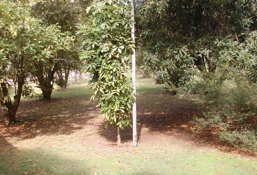 Resort Crookneck Retreat | Glass House Mountains | Queensland | Australia 8