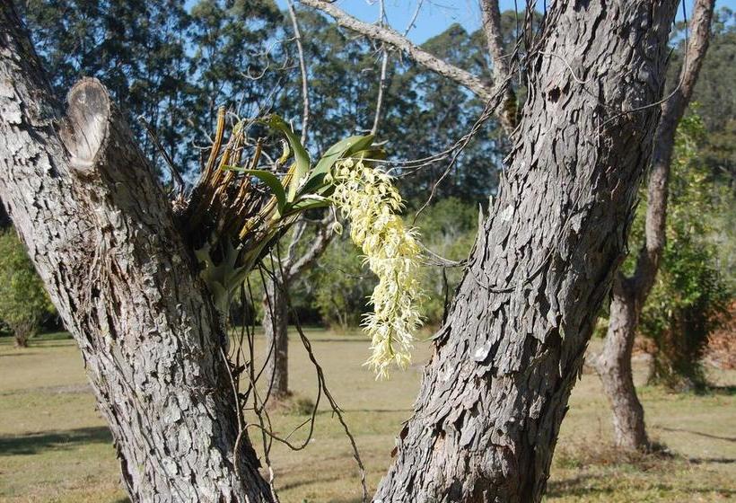 Resort Crookneck Retreat | Glass House Mountains | Queensland | Australia 9