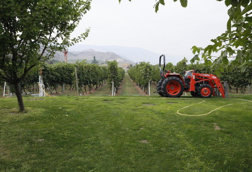Sonora Desert Winery And Countryside B&b | Osoyoos | British Columbia | Canada 11