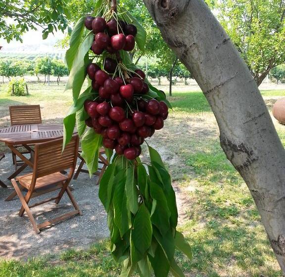 Sonora Desert Winery And Countryside B&b | Osoyoos | British Columbia | Canada 12