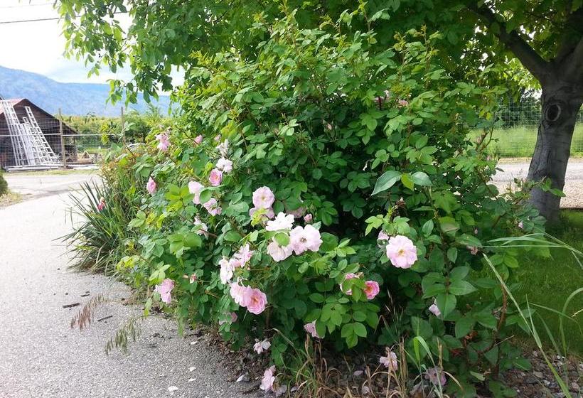 Sonora Desert Winery And Countryside B&b | Osoyoos | British Columbia | Canada 19