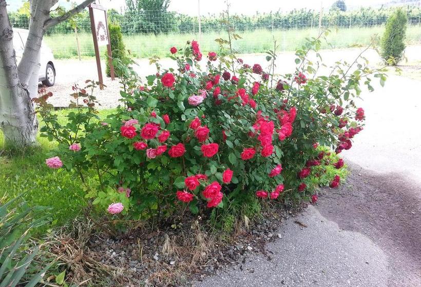 Sonora Desert Winery And Countryside B&b | Osoyoos | British Columbia | Canada 4