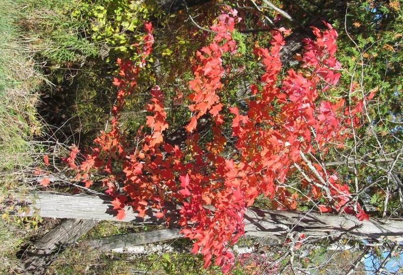 Au Beau Soleil Bed & Breakfast | Mont Tremblant | Quebec | Canada 12