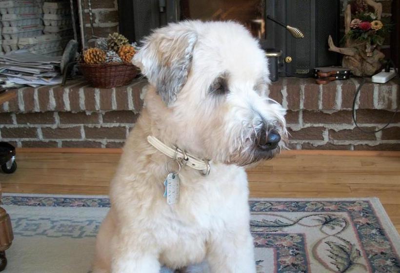 Au Beau Soleil Bed & Breakfast | Mont Tremblant | Quebec | Canada 17